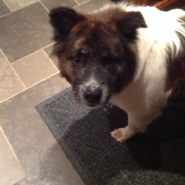 Miss Innocence (The "rock" is hiding beneath her)